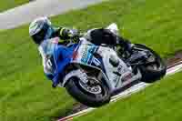 Lower Group Blue Bikes